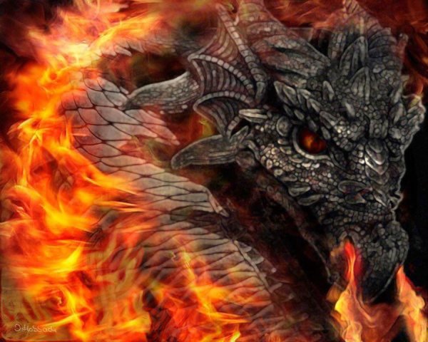 Пламя дракона