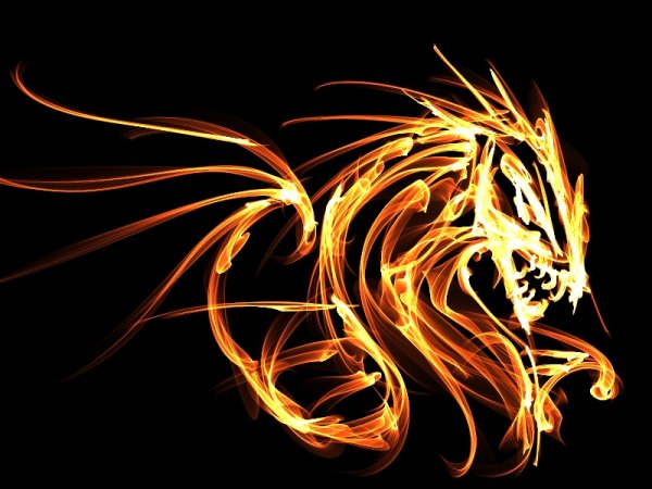Дракон из огня