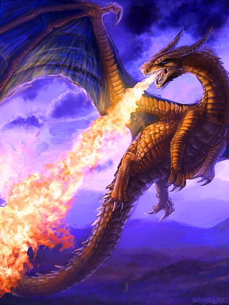 Аркат дракон огня