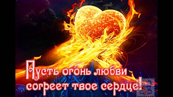 Огненное сердце я тебя люблю