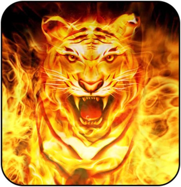 Тигр из огня