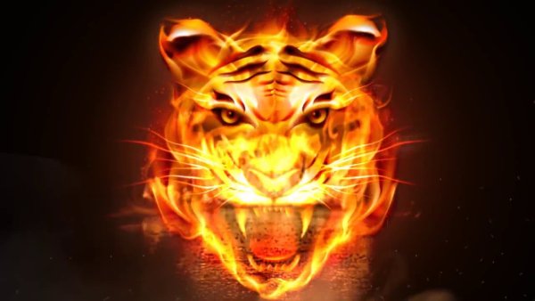 Красный Огненный тигр