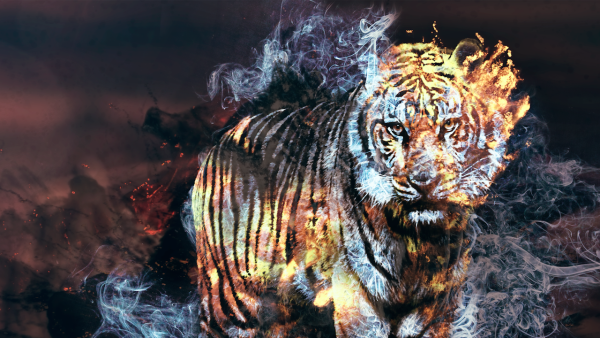 Горящий тигр