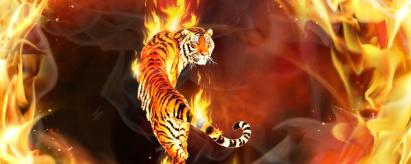 Тигр красный оранжевый