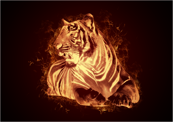 Тигр в огне