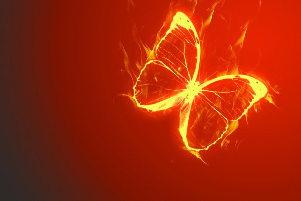 Горящая бабочка