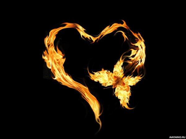 Огненное сердце