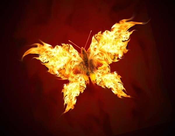 Бабочка из огня