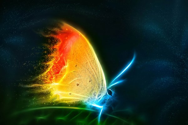 Огненная бабочка