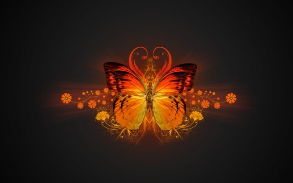 Огненная бабочка на черном фоне