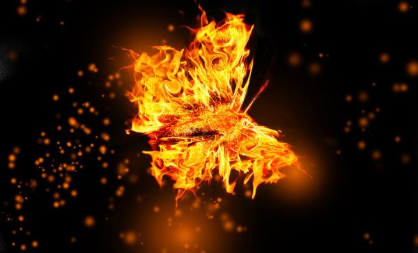 Огненная бабочка