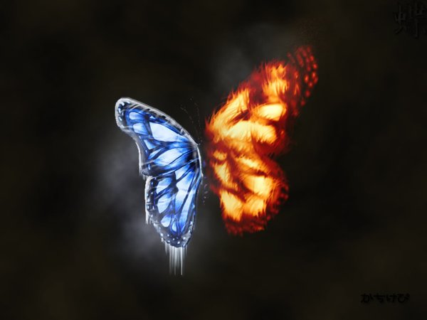 Ледяная бабочка