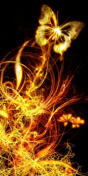 Огненная бабочка