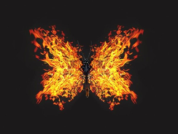 Огненные Крылья бабочки