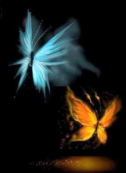 Мотылек и огонь