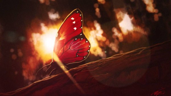 Огненная бабочка