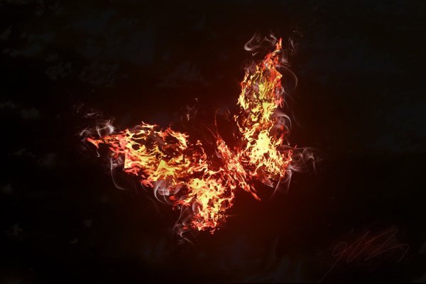 Бабочка в огне