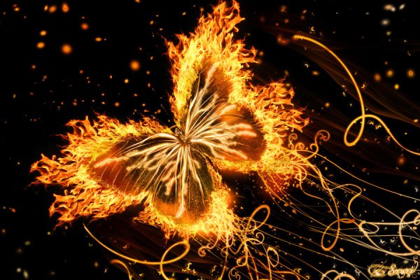 Огненная бабочка