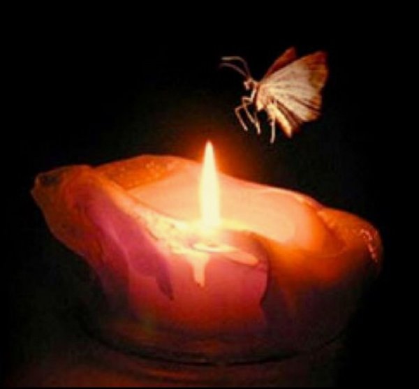 Мотылек и огонь