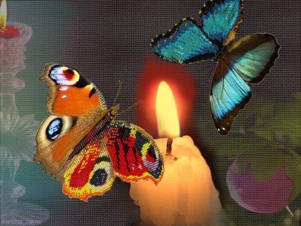 Бабочка над огнем