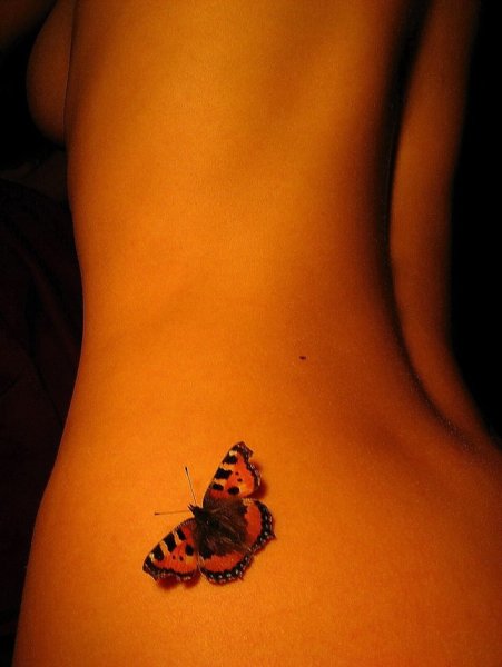 Бабочка в огне