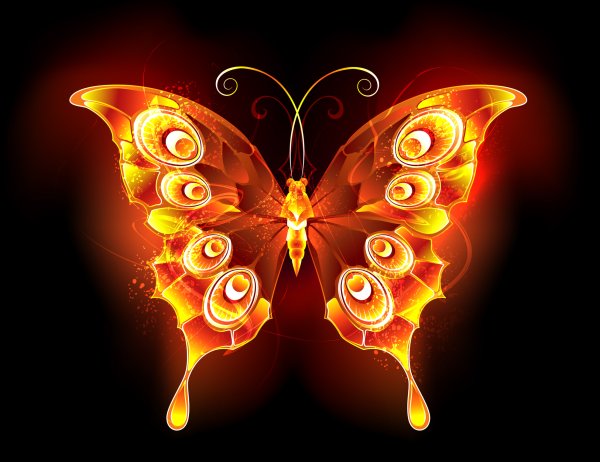 Огненная бабочка