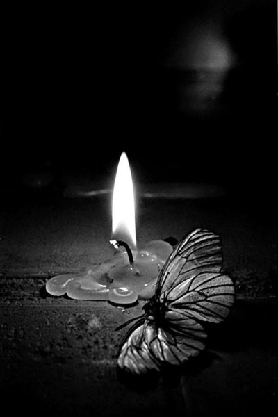 Белый мотылек и огонь