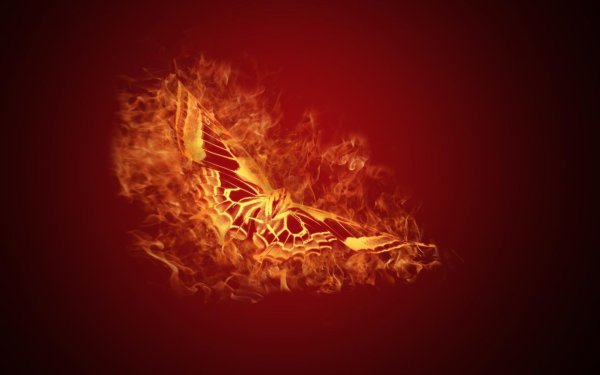 Обои в виде огня