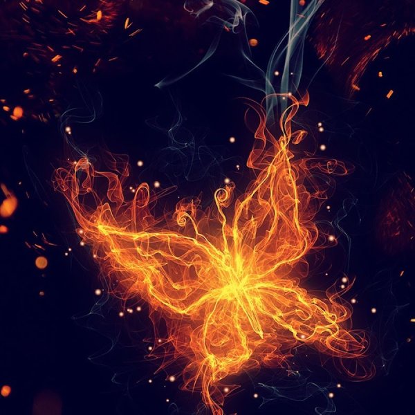 Огненная бабочка