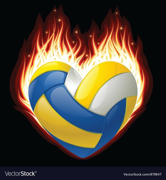 Волейбольный мяч