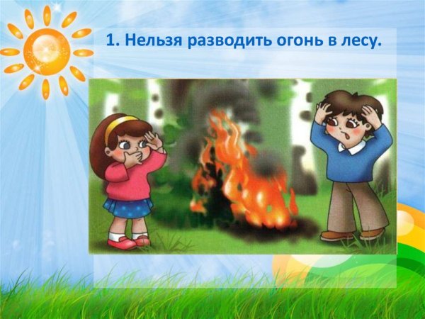 Нельзя разжигать огонь в лесу