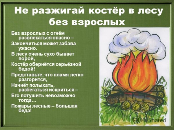 Нельзя разводить костер в лесу