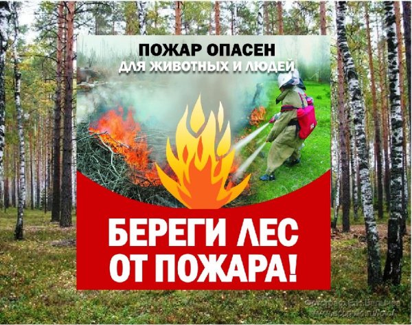 Плакат против пожара в лесу