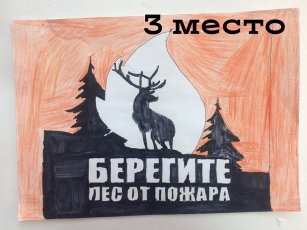 Плакат береги лес от пожара