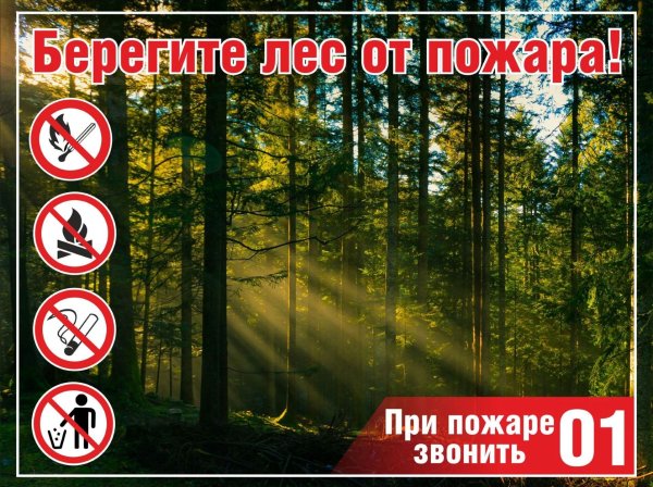 Противопожарные аншлаги в лесу