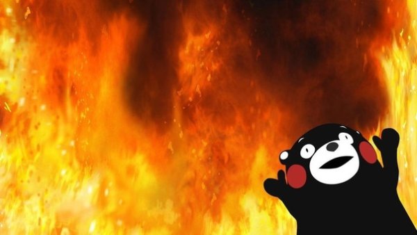 Медведь на фоне огня