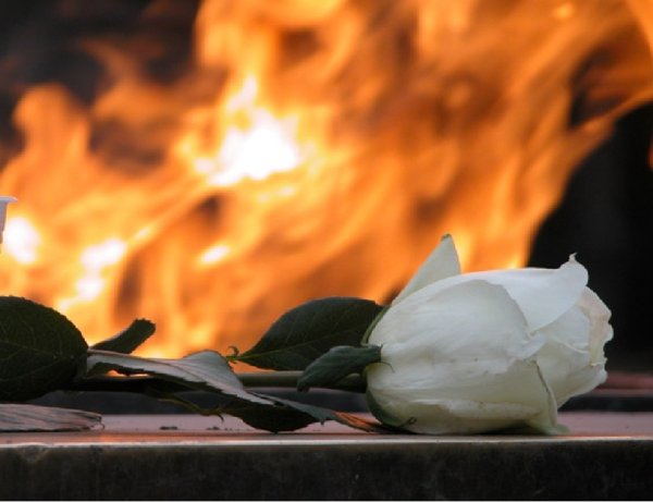 Светлая память героям войны