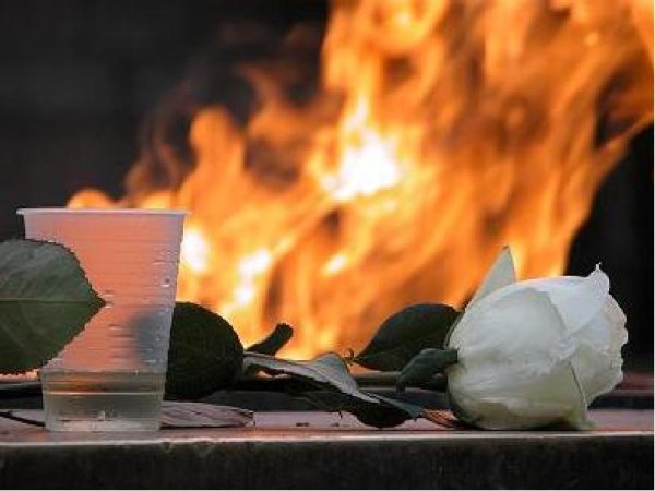 Вечная память война