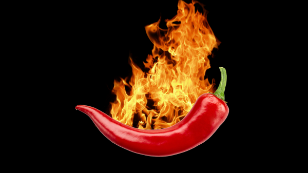 Перец Чили на черном фоне