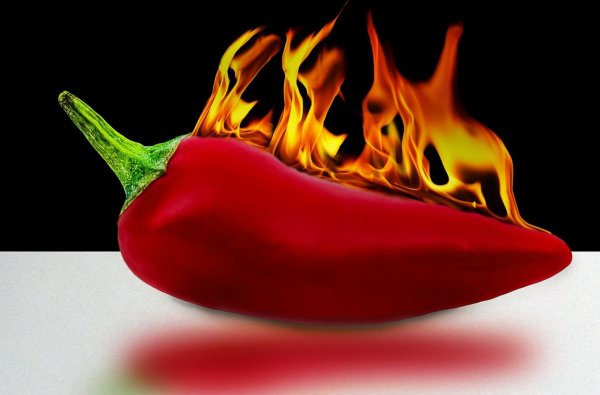 Огненный красный перец