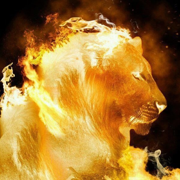 Огненный Лев