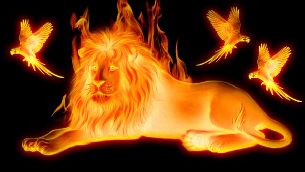 Фигуры из огня