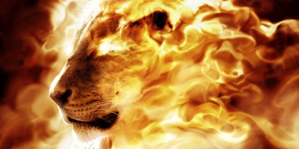 Огненная львица