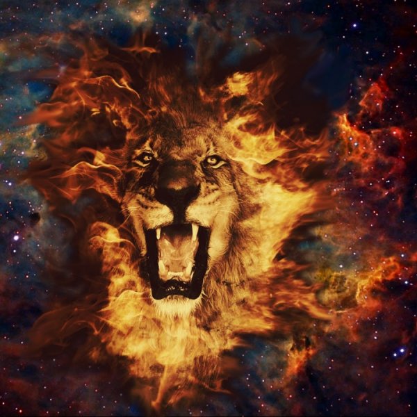 Огненный Лев и львица