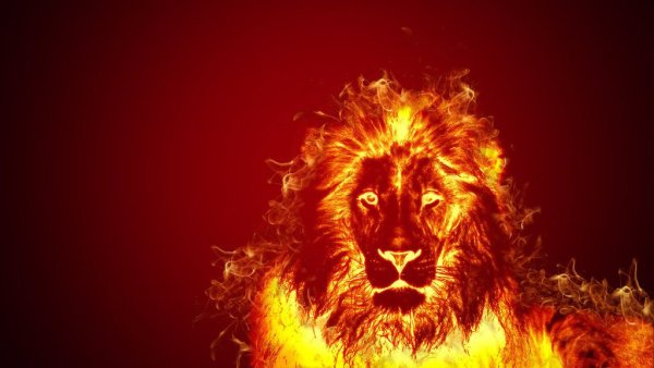 Красный Лев