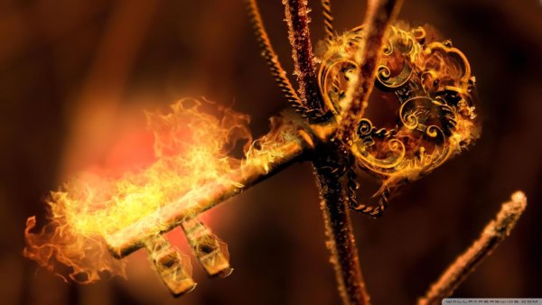 Цепь в огне