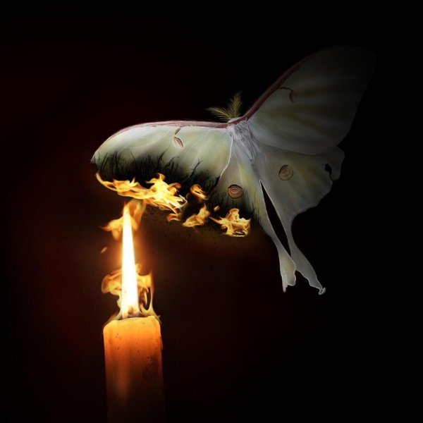 Бабоска, летчщая ко ОГНБ