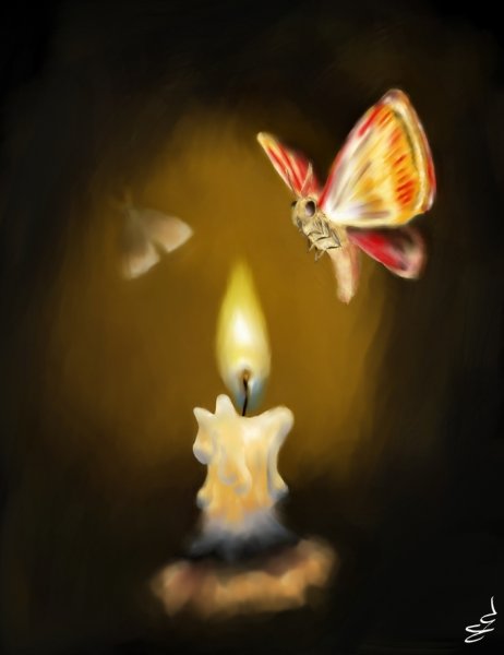 Мотылек летит на огонь