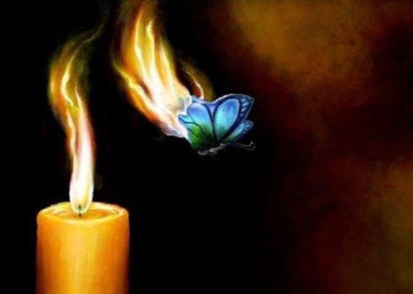 Мотылек летит на огонь