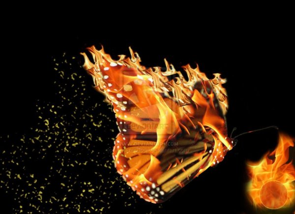 Горящая бабочка